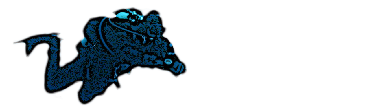 Fun DiveTauchschule Reken, Tauchen lernen mit Spaß